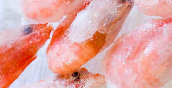 Dry Ice for Frozen Food Fish and Meat